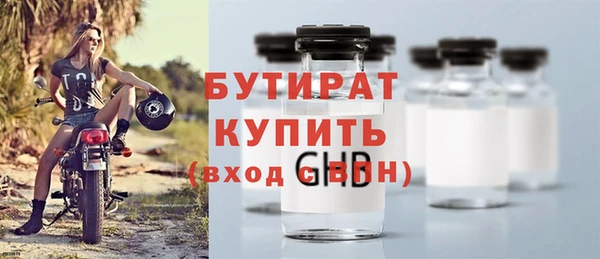 индика Инта