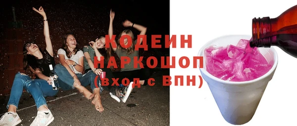 индика Инта