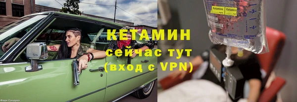 индика Инта