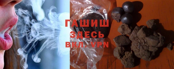 индика Инта