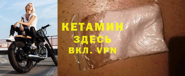 индика Инта