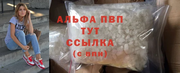 индика Инта