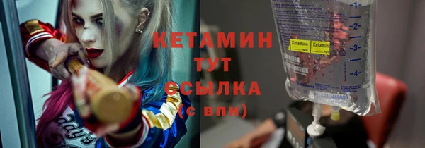 индика Инта
