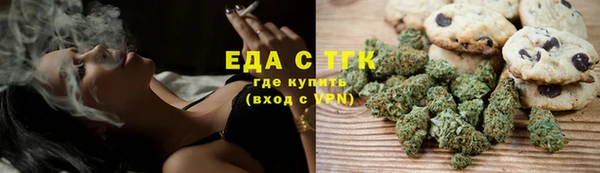 индика Инта