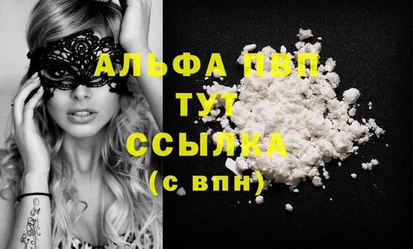 индика Инта