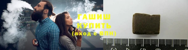 индика Инта