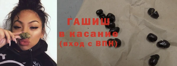индика Инта