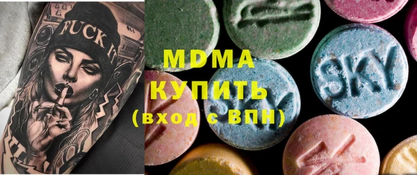 индика Инта
