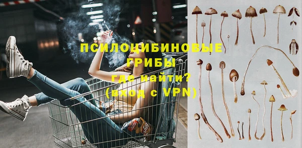 метадон Инсар
