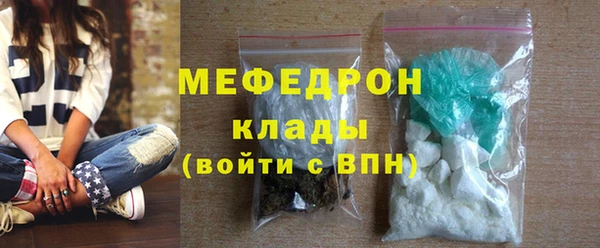 индика Инта