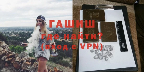 индика Инта