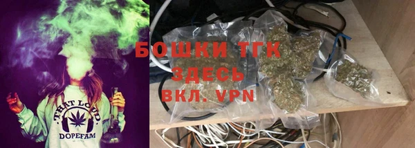 индика Инта