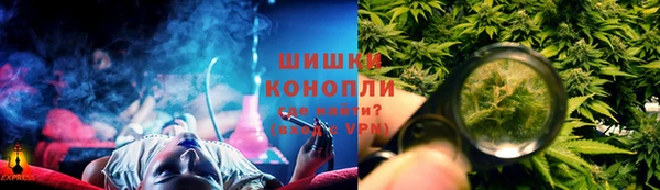 индика Инта