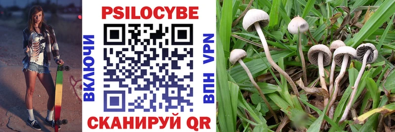 Псилоцибиновые грибы прущие грибы  Купить где  Рыльск 